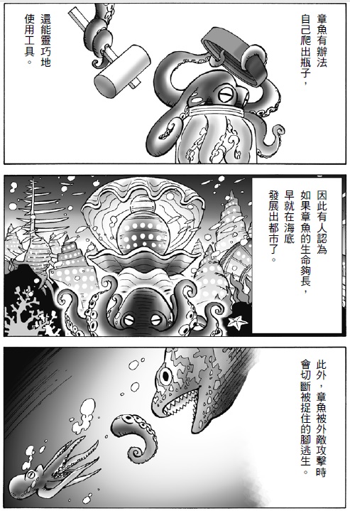八爪魚/章魚再生能力1