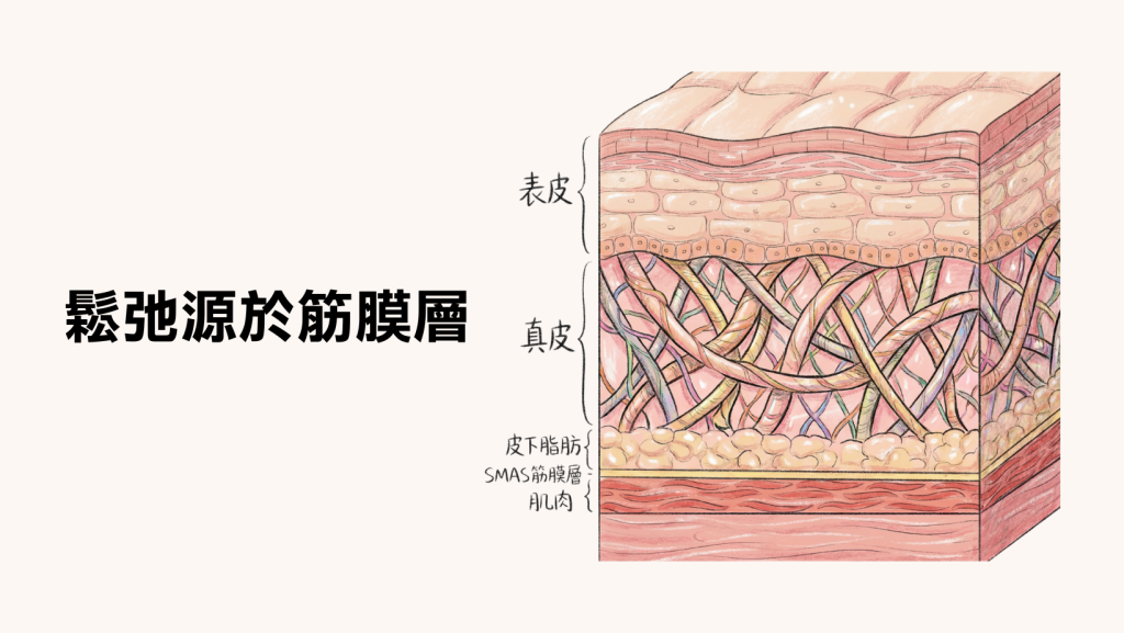 duo tite 矽谷音波